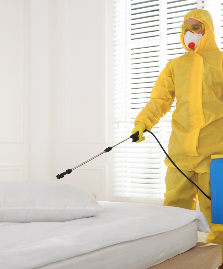 Professional Pest Control Team in West Croydon